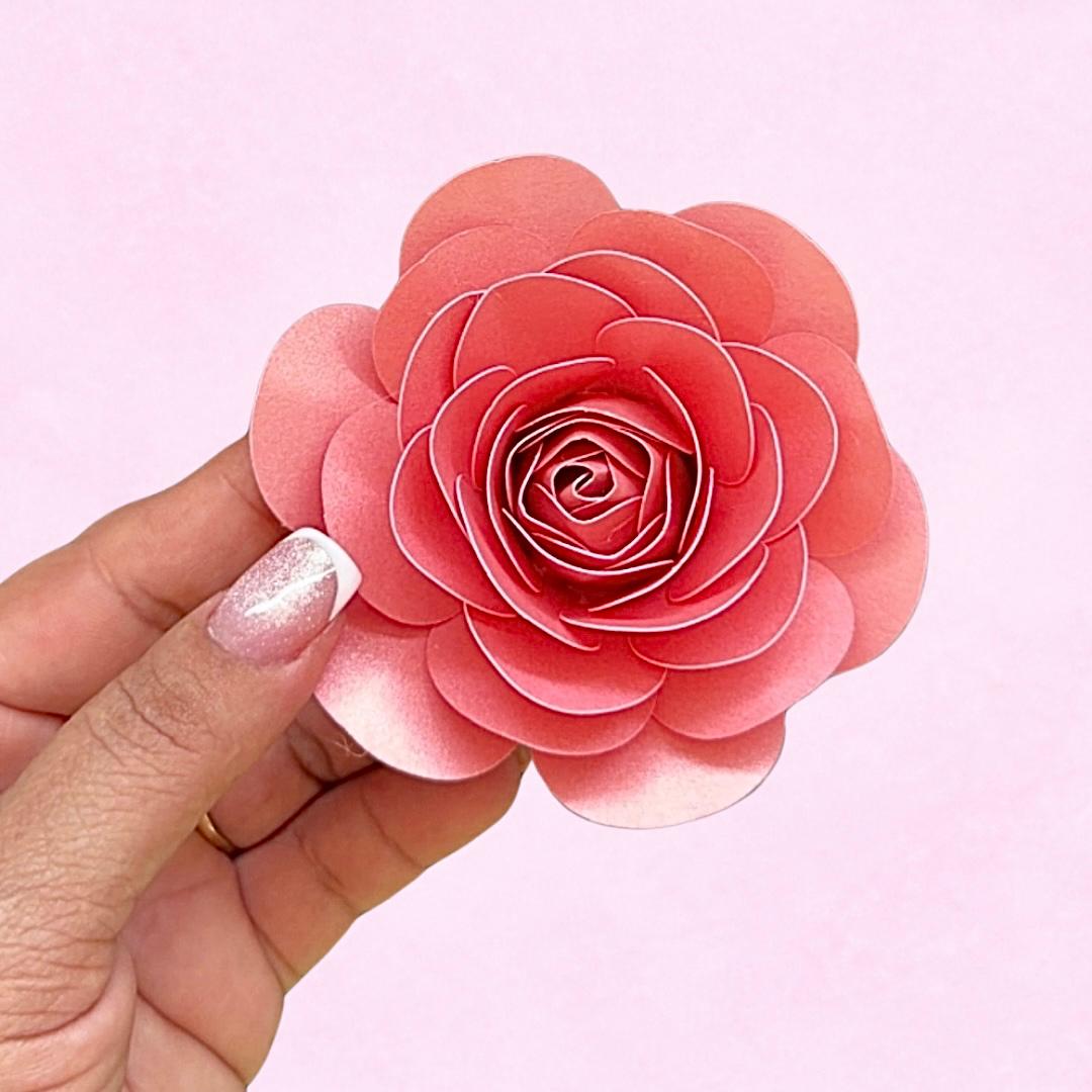 WhatsApp Image 2026-03-08 at 18.19.28 (1)