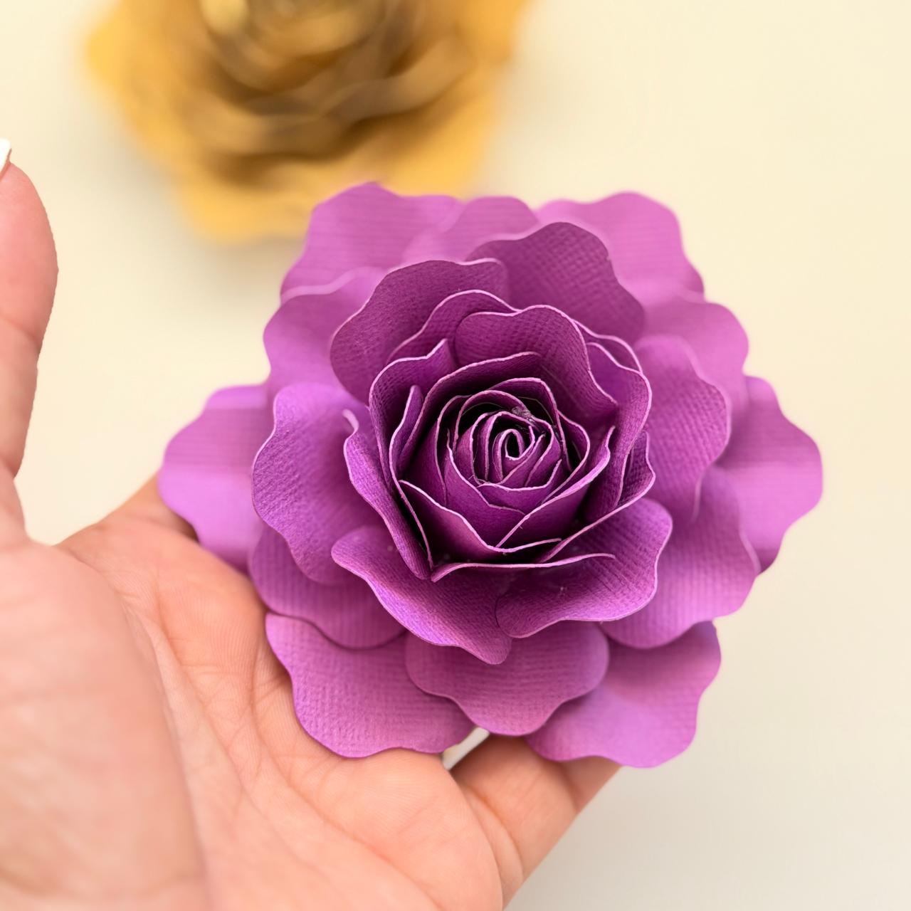 WhatsApp Image 2026-03-15 at 06.03.33